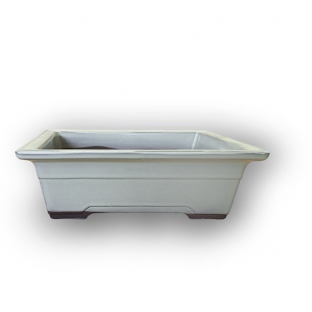 Bonsai container, Ref. 8303