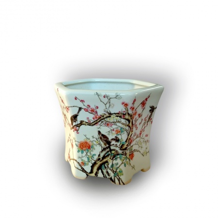 Container for bonsai, Ref. 8309